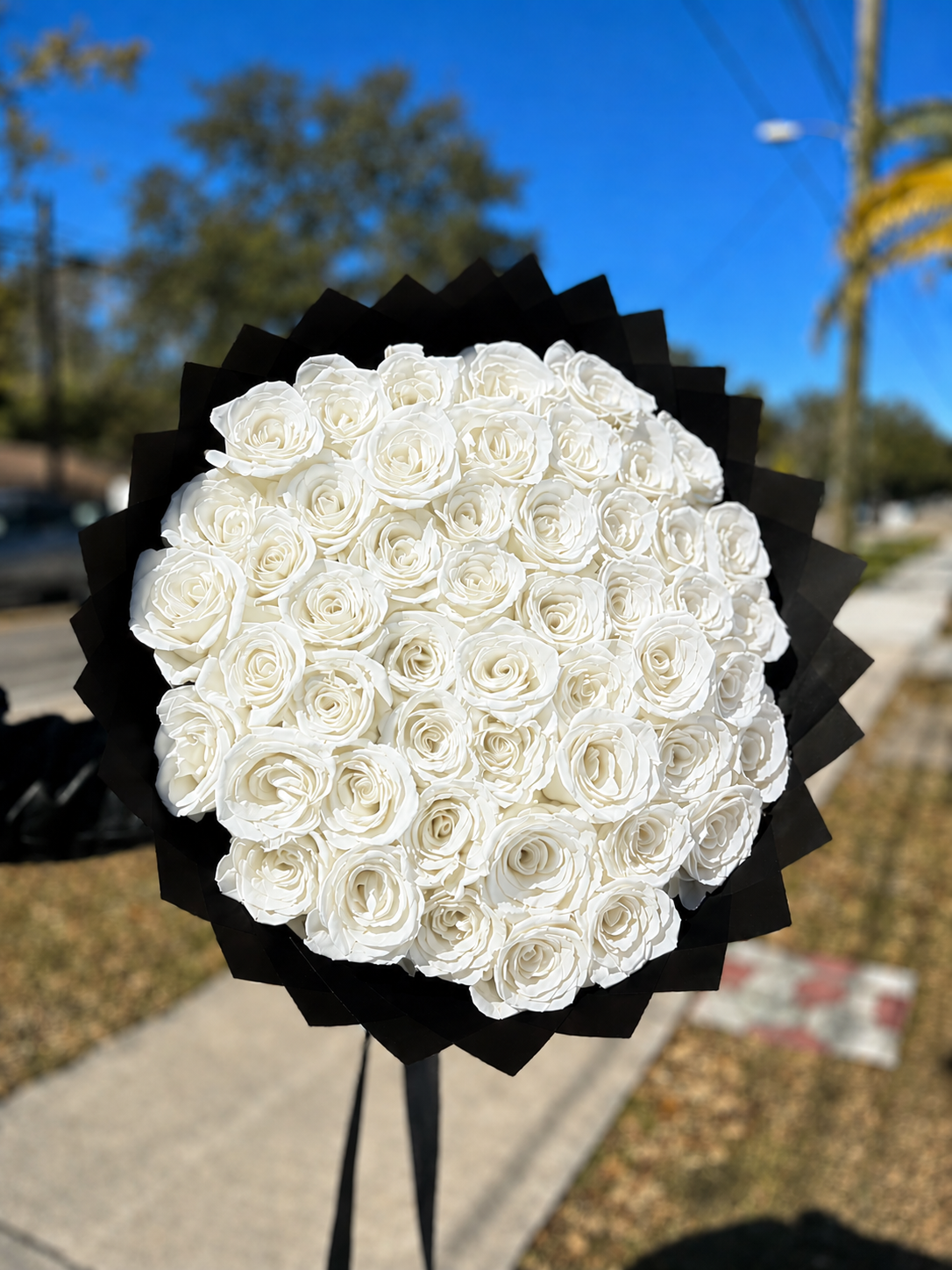 75 Premium Roses