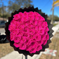 75 Premium Roses