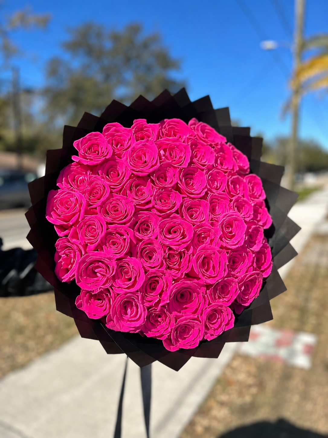 75 Premium Roses