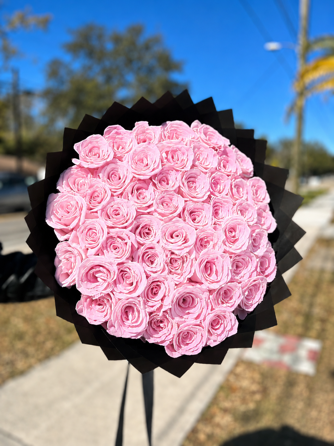 75 Premium Roses