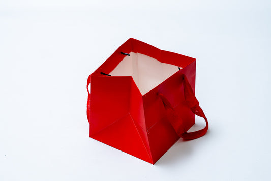 Cube Bag 10" Pck 12