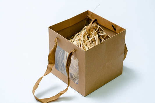 Cube Bag 10" Window Pck 12